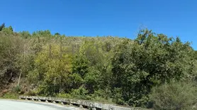 Fotografia 9 de 14: Quinhão Hereditário · Cabeceiras de Basto, Braga