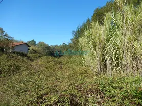 Fotografia 6 de 8: Venda Conjunta de 3 Terrenos- Miranda do Corvo
