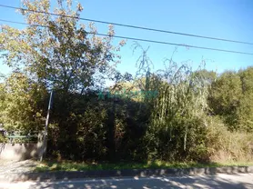 Fotografia 7 de 8: Venda Conjunta de 3 Terrenos- Miranda do Corvo