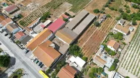 Fotografia 4 de 141: Quinta - (c/ área total de 6.875,00m²) - Palmela