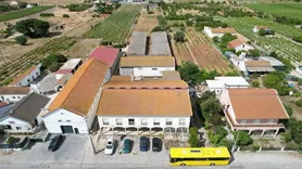 Fotografia 6 de 141: Quinta - (c/ área total de 6.875,00m²) - Palmela