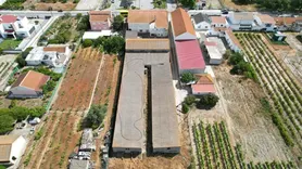Fotografia 8 de 141: Quinta - (c/ área total de 6.875,00m²) - Palmela