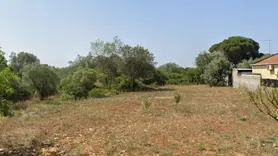Fotografia 9 de 9: ½ de Rústico - (c/ 8.720,00m²) - Almoster / Santarém
