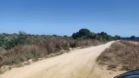 Fotografia 9 de 11: Prédio rústico composto por terra de vinha e oliveiras, com 