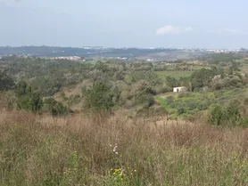 Fotografia 1 de 2: 1/2 do Prédio Rústico sito em Antas ou Azul, freguesia de Év