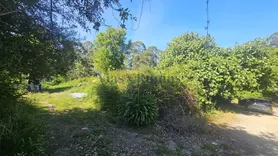 Fotografia 1 de 4: 1/8 Rústico