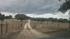 Fotografia 1 de 21: Herdade
