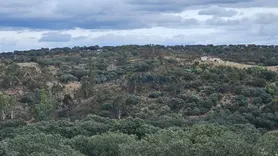 Fotografia 10 de 21: Herdade