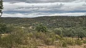 Fotografia 3 de 21: Herdade