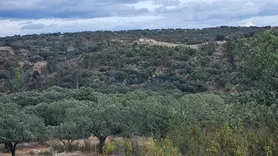 Fotografia 4 de 21: Herdade