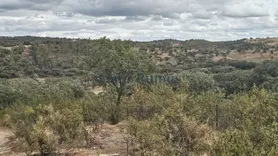 Fotografia 5 de 21: Herdade