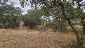 Fotografia 7 de 21: Herdade