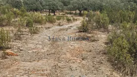 Fotografia 9 de 21: Herdade