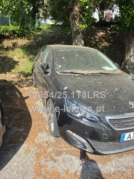 Fotografia 5 de 13: PEUGEOT, modelo L