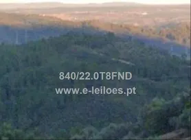 Fotografia 1 de 3: Terreno rústico, Vila Velha de Rodão