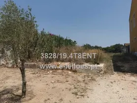 Fotografia 5 de 12: 1/4 de Terreno para Construção Urbana