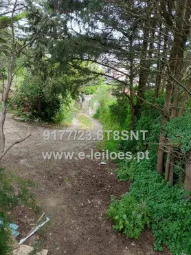 Fotografia 6 de 12: 1148/30000 Prédio Rústico Localizado uma AUGI em Agualva-Cac