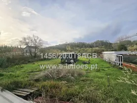 Fotografia 3 de 5: Direito à meação