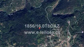 Fotografia 1 de 5: Prédio rústico em Lordosa - Viseu
