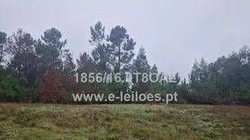 Fotografia 3 de 5: Prédio rústico em Lordosa - Viseu