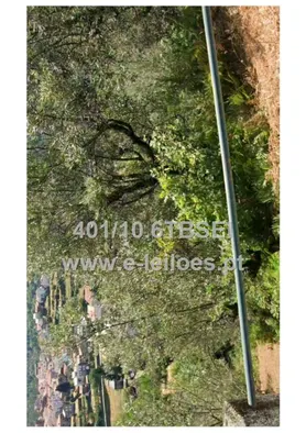 Fotografia 1 de 3: 1/6 indiviso de prédio rústico em Loriga - Seia