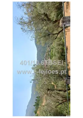 Fotografia 1 de 3: 1/6 indiviso de prédio rústico em Loriga - Seia