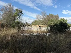 Fotografia 8 de 12: Prédio Urbano