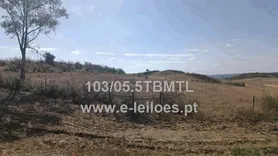 Fotografia 1 de 4: IMÓVEL RUSTICO DENOMINADO FARJAL DOS BARREIROS