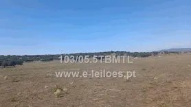 Fotografia 3 de 4: IMÓVEL RUSTICO DENOMINADO FARJAL DOS BARREIROS