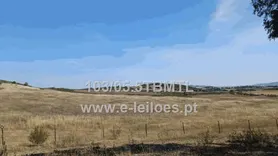Fotografia 4 de 4: IMÓVEL RUSTICO DENOMINADO FARJAL DOS BARREIROS